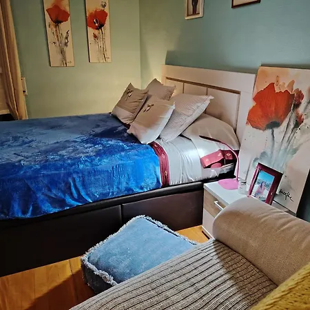 Habitacion Individual Deluxe En Piso Compartido En Homestay Astigarraga